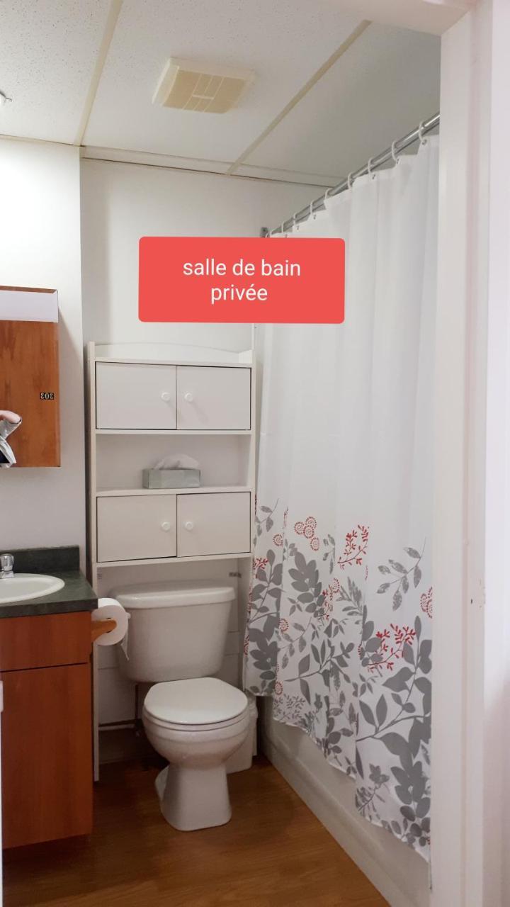 Mhotel Domaine L'Envolee- Maison Fleurie Victoriaville Eksteriør billede